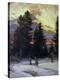 Stretched Canvas Print