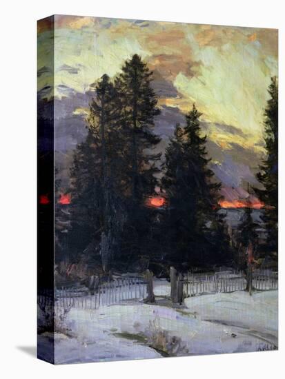 Stretched Canvas Print, , large
