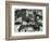 Abrasions, Abstraction, 1977-Brett Weston-Framed Photographic Print