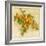 Abricots de Nancy-Vincent Perriol-Framed Art Print