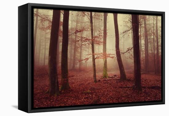 Absence of words-Philippe Sainte-Laudy-Framed Premier Image Canvas