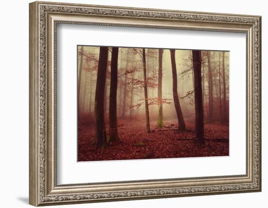 Absence of words-Philippe Sainte-Laudy-Framed Photographic Print