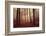 Absence of words-Philippe Sainte-Laudy-Framed Photographic Print