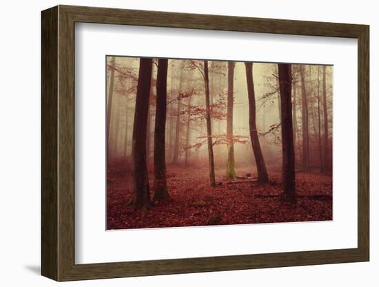 Absence of words-Philippe Sainte-Laudy-Framed Photographic Print