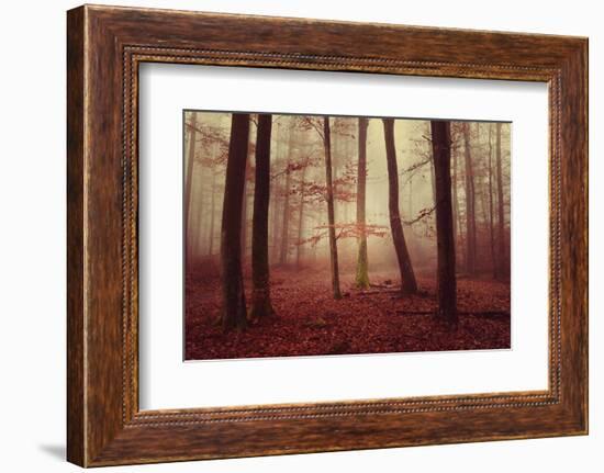 Absence of words-Philippe Sainte-Laudy-Framed Photographic Print