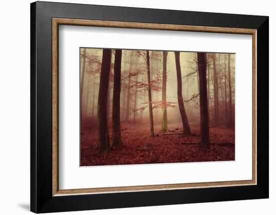 Absence of words-Philippe Sainte-Laudy-Framed Photographic Print