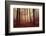 Absence of words-Philippe Sainte-Laudy-Framed Photographic Print