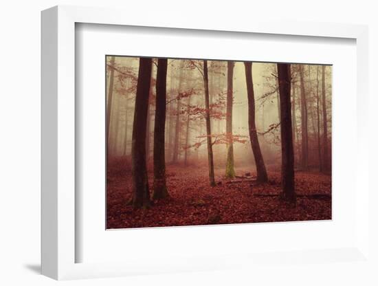 Absence of words-Philippe Sainte-Laudy-Framed Photographic Print