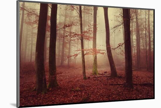 Absence of words-Philippe Sainte-Laudy-Mounted Photographic Print