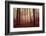 Absence of words-Philippe Sainte-Laudy-Framed Photographic Print