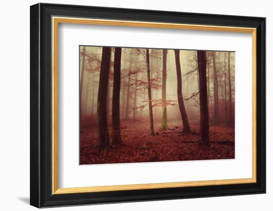 Absence of words-Philippe Sainte-Laudy-Framed Photographic Print