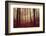 Absence of words-Philippe Sainte-Laudy-Framed Photographic Print