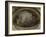 Abside de la chapelle Royale de Versailles : La résurrection-Charles de La Fosse-Framed Giclee Print