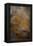 Abstract 12073-Pol Ledent-Framed Stretched Canvas