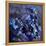 Abstract 2122022-Pol Ledent-Framed Stretched Canvas