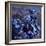 Abstract 2122022-Pol Ledent-Framed Premium Giclee Print