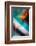 Abstract 2-Ursula Abresch-Framed Photographic Print