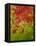Abstract 304-Herb Dickinson-Framed Premier Image Canvas