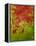 Abstract 304-Herb Dickinson-Framed Premier Image Canvas