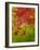 Abstract 304-Herb Dickinson-Framed Photographic Print