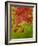 Abstract 304-Herb Dickinson-Framed Photographic Print