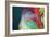 Abstract 49-Sara Hayward-Framed Giclee Print