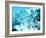 Abstract 6-Shiroki Kimaneka-Framed Giclee Print