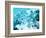 Abstract 6-Shiroki Kimaneka-Framed Giclee Print