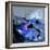 Abstract 7751206-Pol Ledent-Framed Art Print