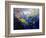 Abstract 791207-Pol Ledent-Framed Art Print