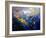 Abstract 791207-Pol Ledent-Framed Art Print