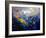 Abstract 791207-Pol Ledent-Framed Art Print