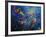 Abstract 971207-Pol Ledent-Framed Art Print