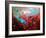 Abstract 9785213-Pol Ledent-Framed Art Print