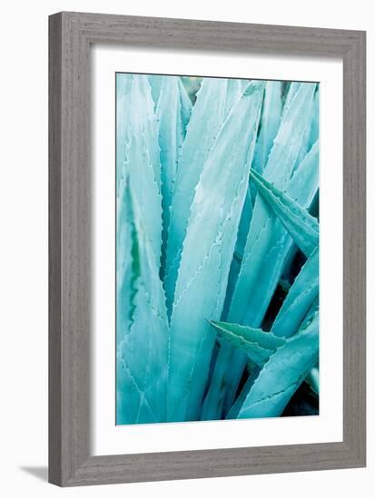 Abstract Agava I Color-Elizabeth Urquhart-Framed Art Print