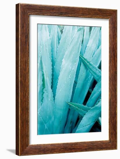 Abstract Agava I Color-Elizabeth Urquhart-Framed Art Print