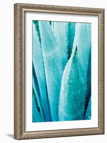 Abstract Agava II Color-Elizabeth Urquhart-Framed Premium Giclee Print