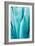 Abstract Agava II Color-Elizabeth Urquhart-Framed Premium Giclee Print