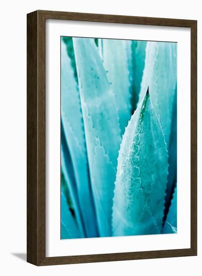 Abstract Agava II Color-Elizabeth Urquhart-Framed Premium Giclee Print