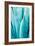 Abstract Agava II Color-Elizabeth Urquhart-Framed Premium Giclee Print