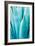 Abstract Agava II Color-Elizabeth Urquhart-Framed Premium Giclee Print