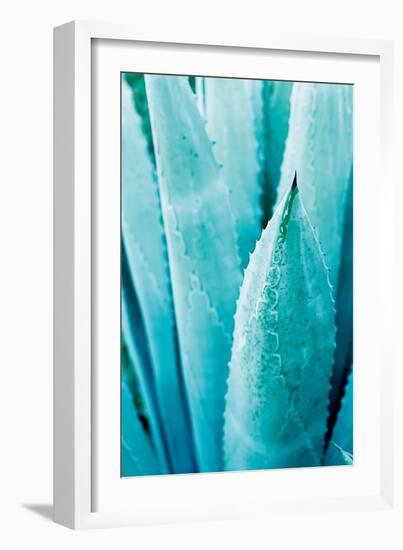 Abstract Agava II Color-Elizabeth Urquhart-Framed Premium Giclee Print