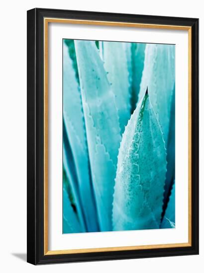 Abstract Agava II Color-Elizabeth Urquhart-Framed Premium Giclee Print