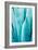 Abstract Agava II Color-Elizabeth Urquhart-Framed Art Print