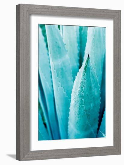 Abstract Agava II Color-Elizabeth Urquhart-Framed Art Print