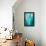 Abstract Agava II Color-Elizabeth Urquhart-Framed Stretched Canvas displayed on a wall