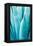 Abstract Agava II Color-Elizabeth Urquhart-Framed Stretched Canvas