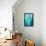 Abstract Agava II Color-Elizabeth Urquhart-Framed Stretched Canvas displayed on a wall