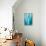 Abstract Agava II Color-Elizabeth Urquhart-Framed Stretched Canvas displayed on a wall