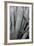 Abstract Agava II-Elizabeth Urquhart-Framed Photo